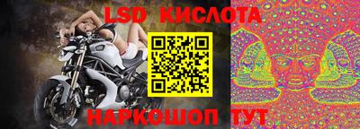 apvp Славгород