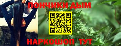 крисы Сланцы