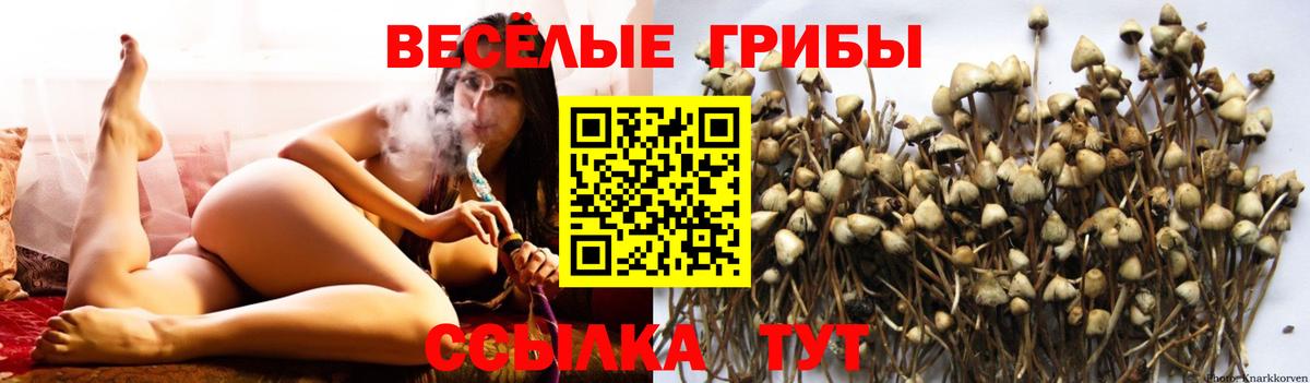Псилоцибиновые грибы Magic Shrooms  Вход с VPN  Симферополь 